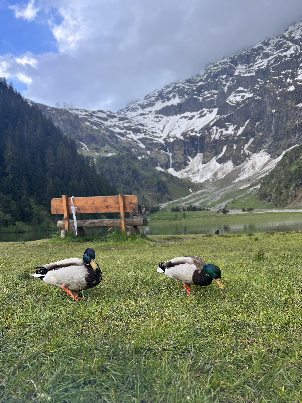 Golden Eagle Travel & Tourism 3