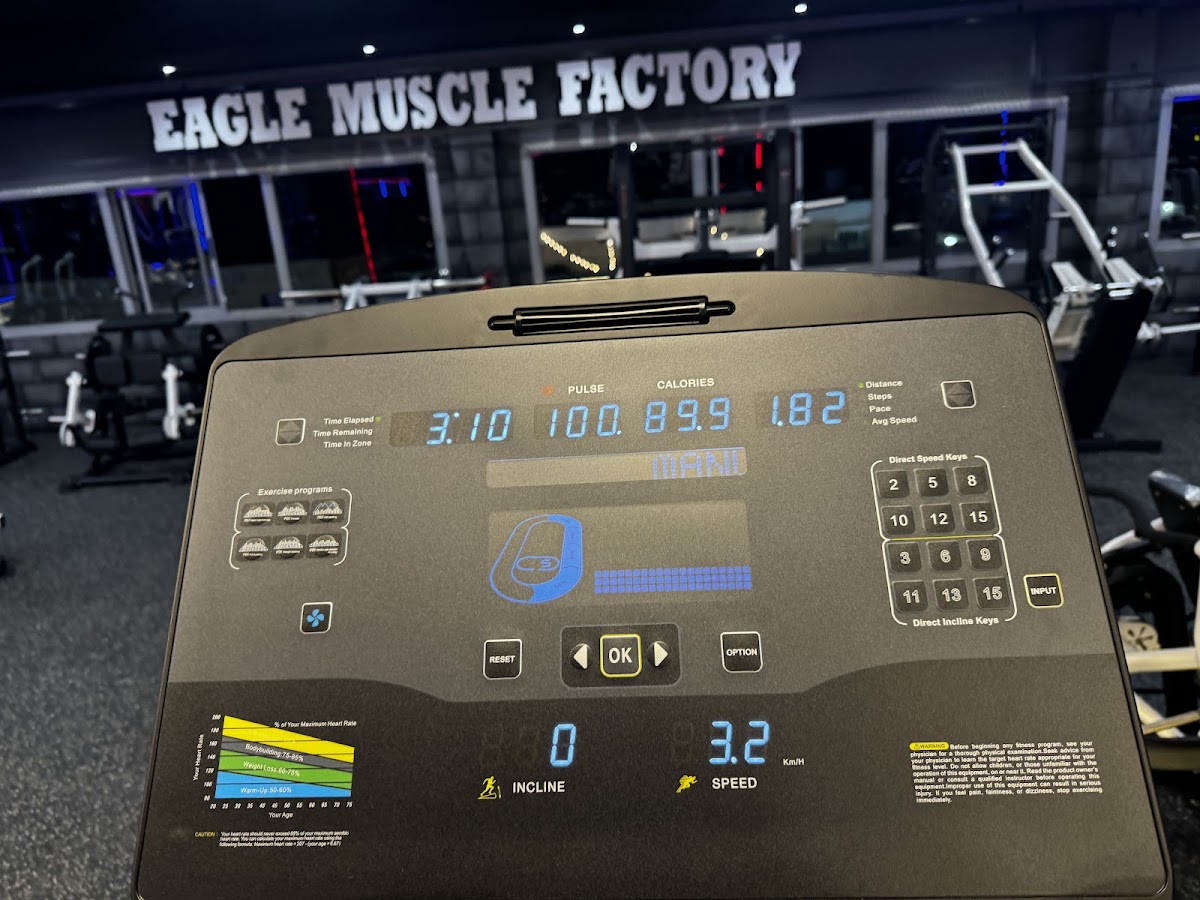 Eagle Gym Rak 3