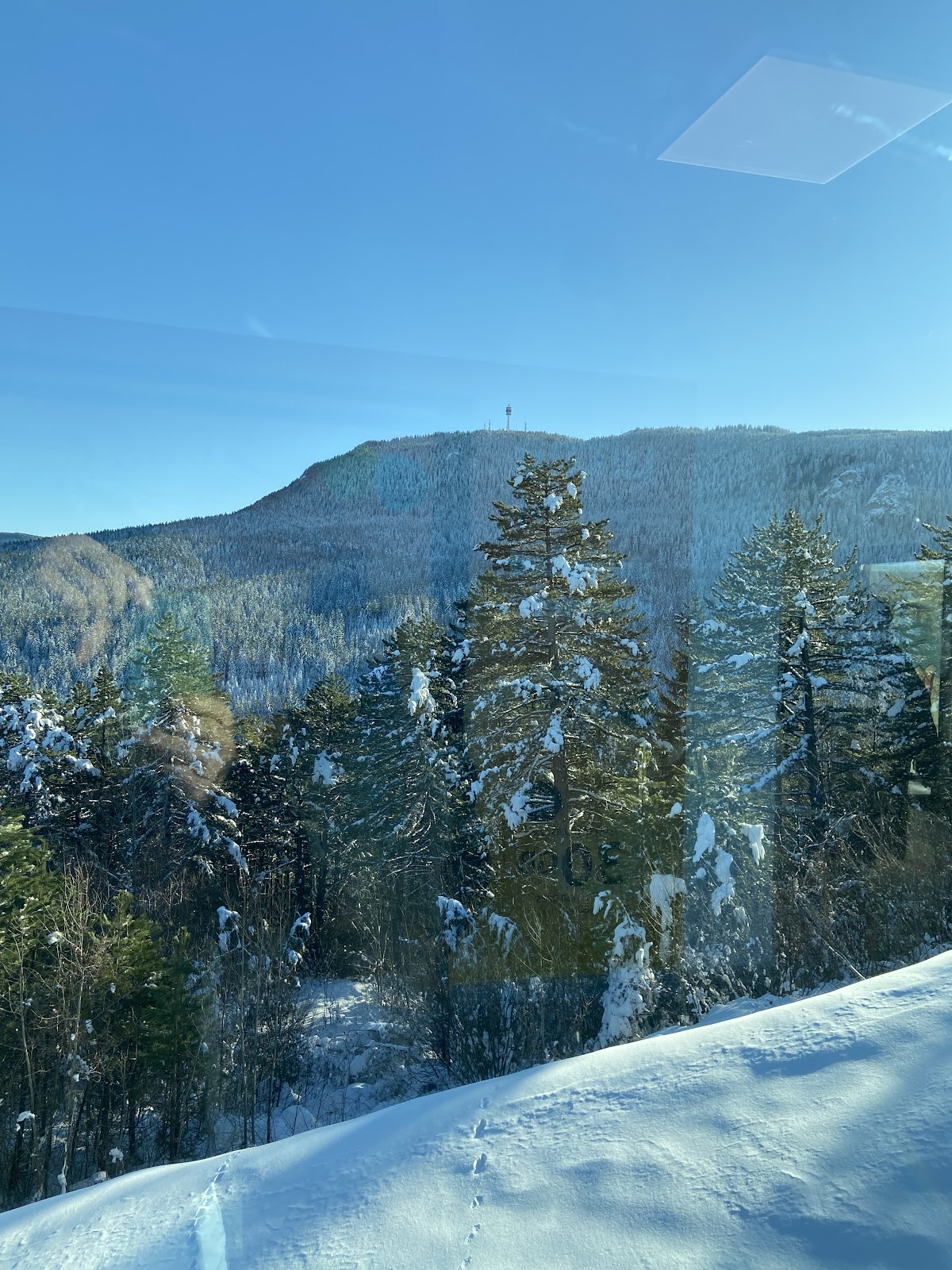 Golden Eagle Travel & Tourism 2